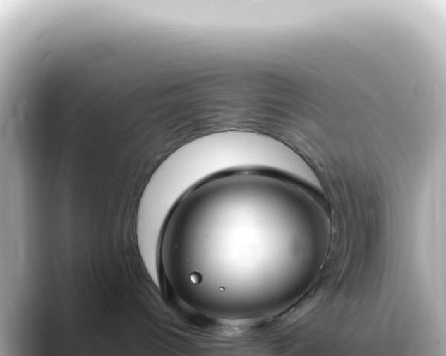 X0000089460096200706221313