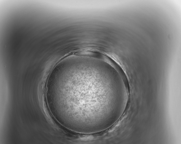 X0000089460097200706221312