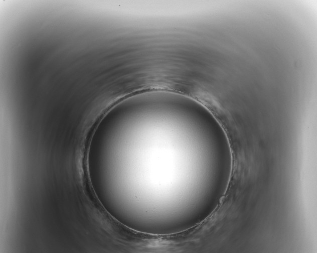 X0000089460098200706221312