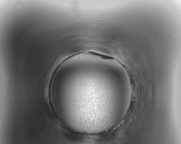 X0000089460099200706221312