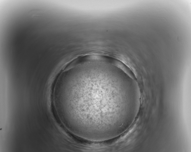 X0000089460101200706221312