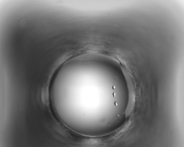 X0000089460102200706221312