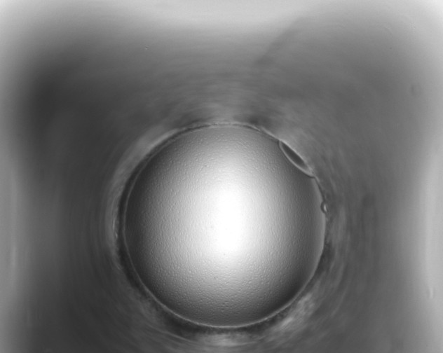 X0000089460103200706221312