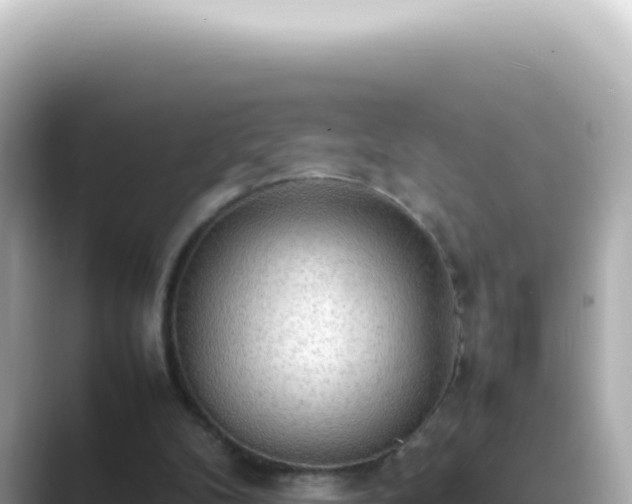 X0000089460104200706221312