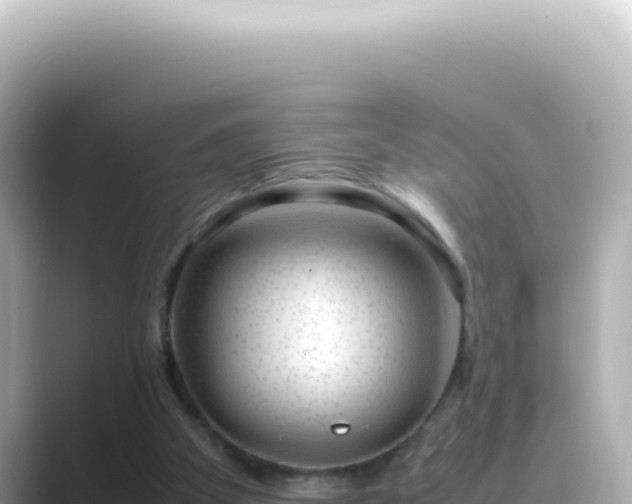 X0000089460105200706221312