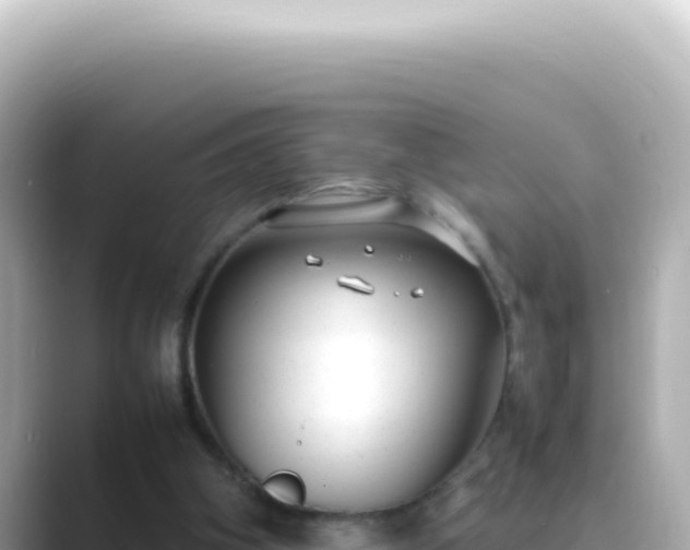 X0000089460106200706221312