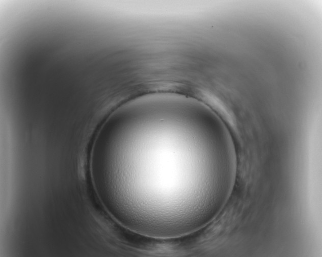 X0000089460107200706221312