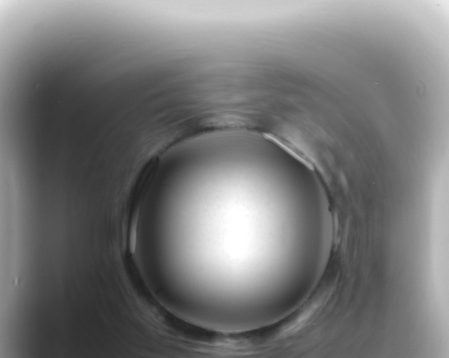 X0000089460109200706221312