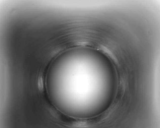 X0000089460110200706221312