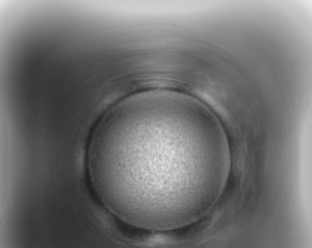 X0000089460111200706221312