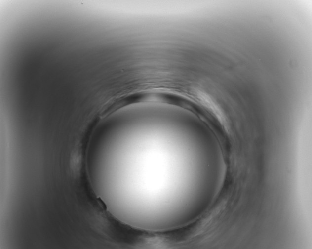 X0000089460113200706221312