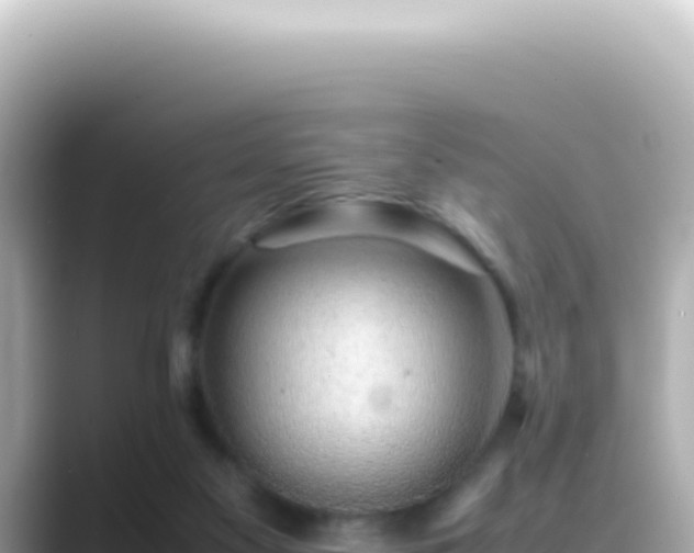 X0000089460117200706221312