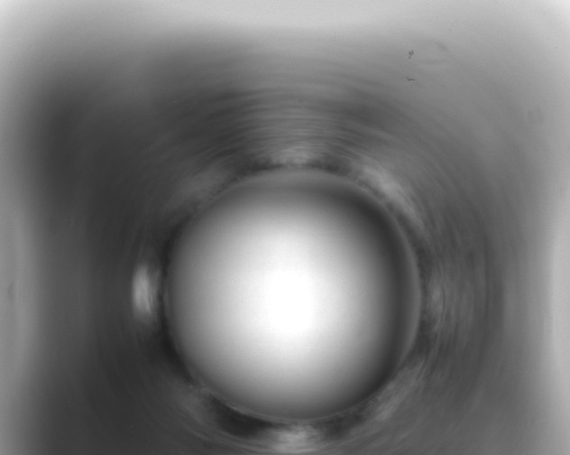 X0000089460118200706221312