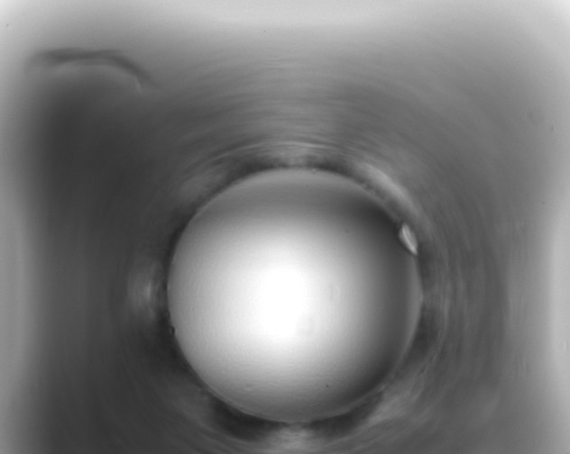X0000089460119200706221312