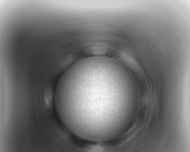 X0000089460120200706221312