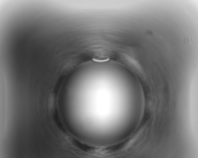 X0000089460121200706221312