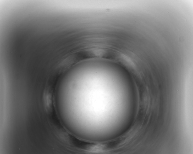 X0000089460122200706221312