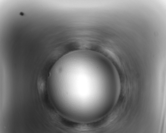 X0000089460123200706221312