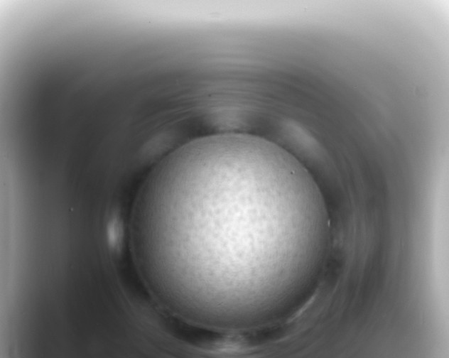 X0000089460124200706221312