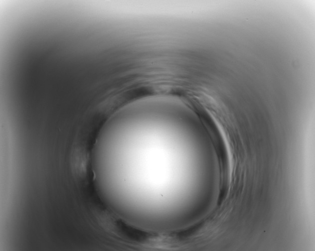 X0000089460125200706221312