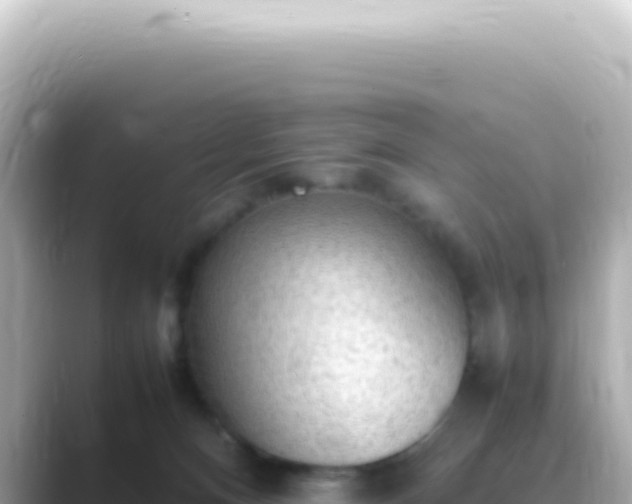 X0000089460128200706221312