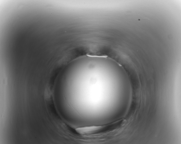 X0000089460129200706221312
