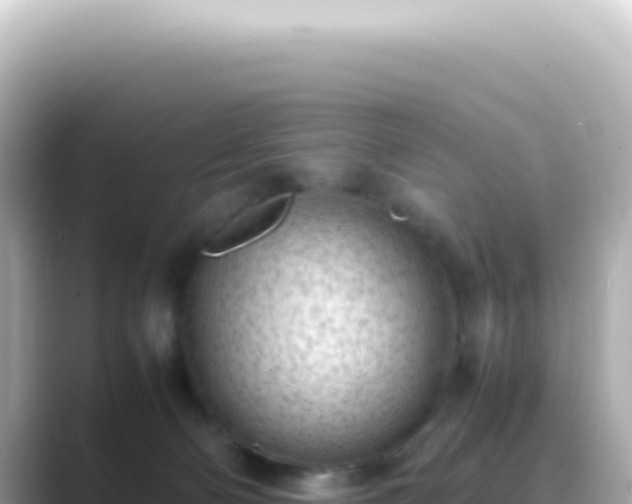 X0000089460130200706221312