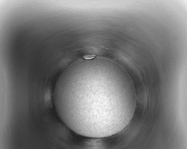 X0000089460132200706221312