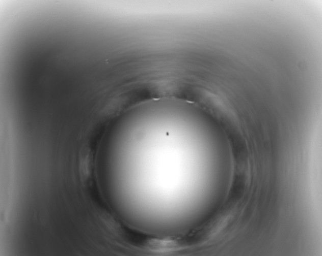 X0000089460133200706221312