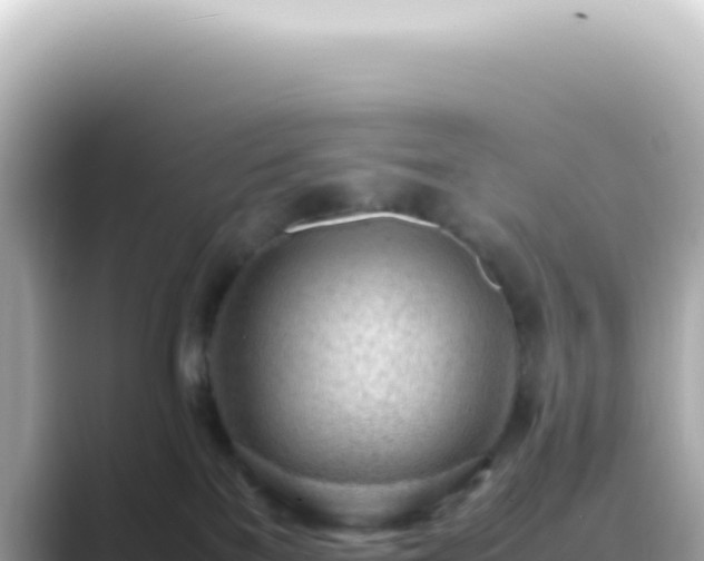X0000089460137200706221312