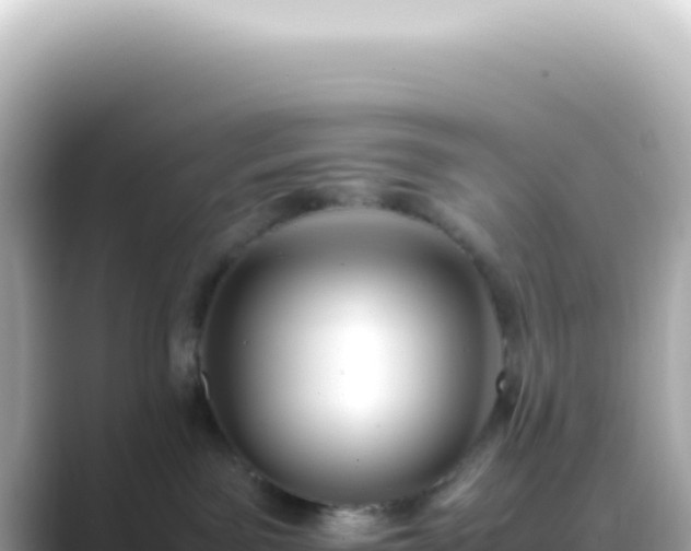 X0000089460141200706221312
