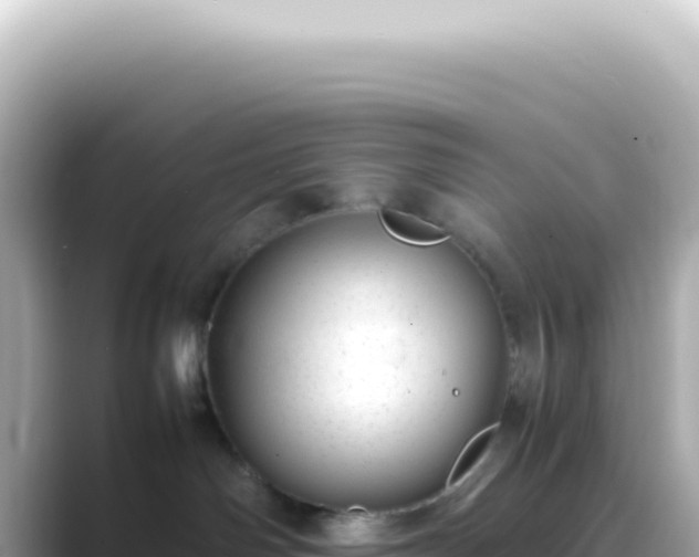 X0000089460142200706221312