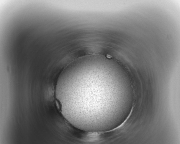X0000089460144200706221312