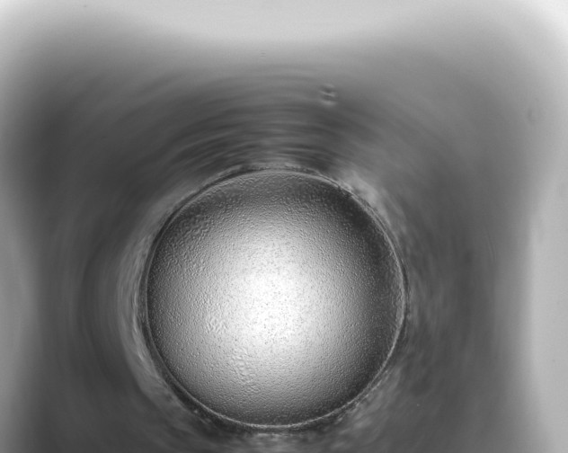 X0000089460145200706221311