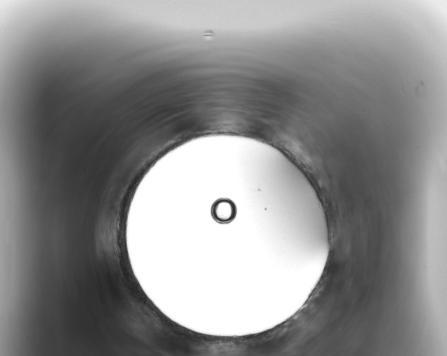 X0000089460146200706221311