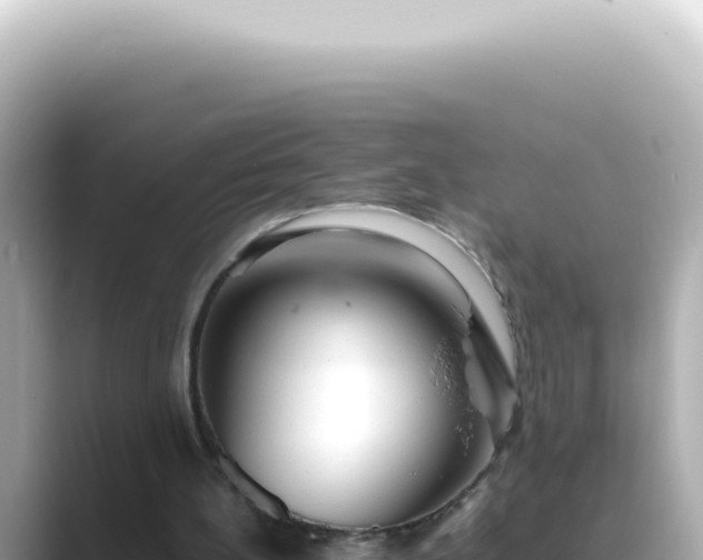 X0000089460148200706221311