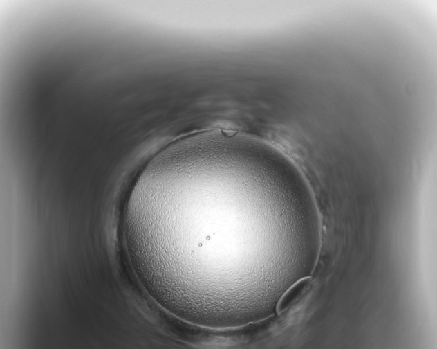 X0000089460149200706221311