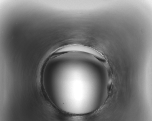 X0000089460150200706221311