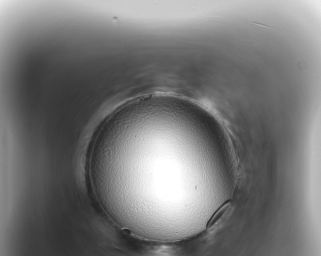 X0000089460151200706221311
