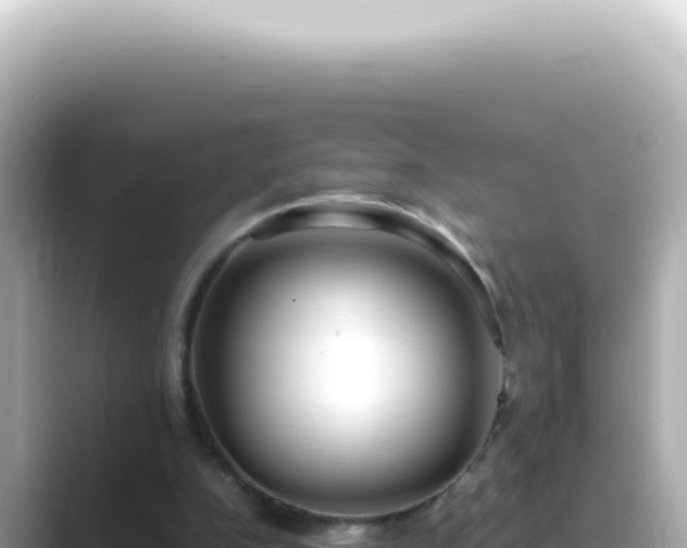 X0000089460152200706221311