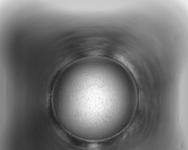 X0000089460153200706221311