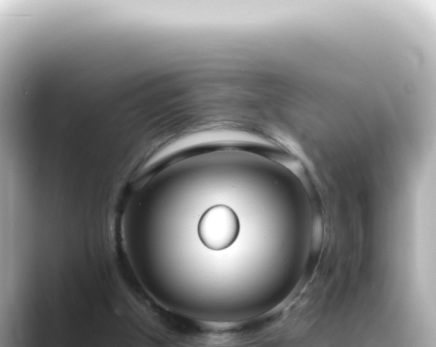 X0000089460154200706221311