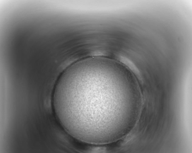 X0000089460155200706221311