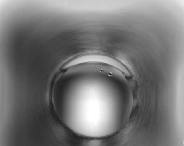 X0000089460156200706221311