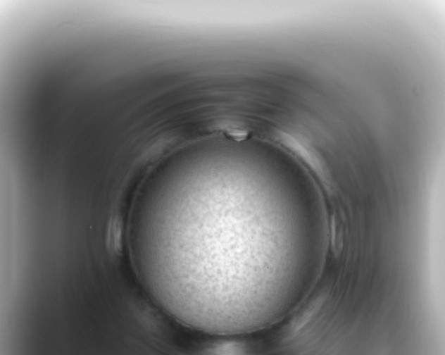 X0000089460157200706221311