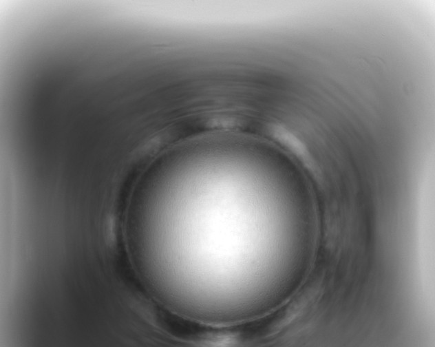 X0000089460161200706221311