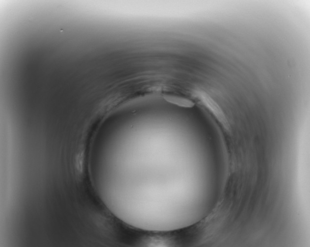 X0000089460163200706221311