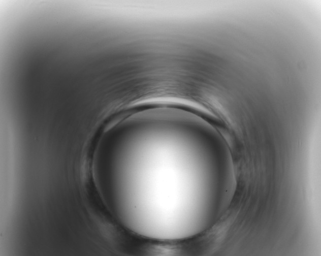 X0000089460164200706221311