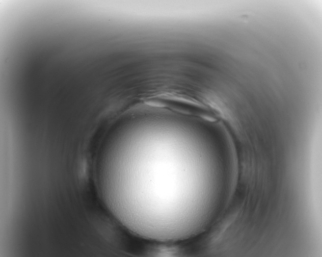 X0000089460165200706221311
