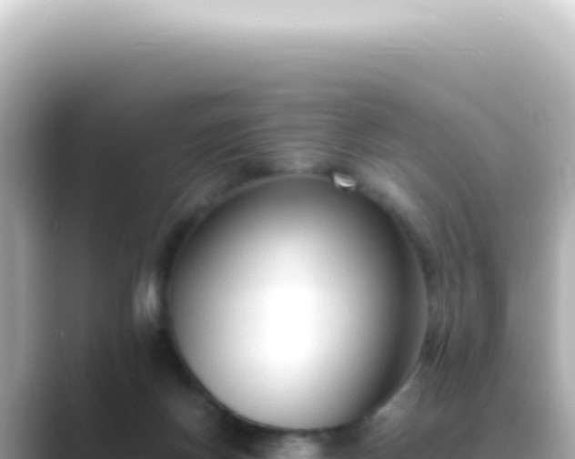 X0000089460166200706221311